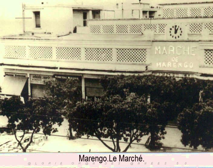 le marche 02.jpg